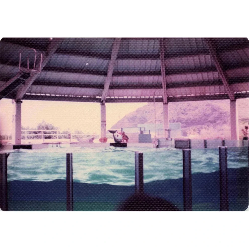 Vintage 1970s Sea Life Park Hawaii Dolphin Show Tall Ship Photo Lot of 17 - Picture 6 of 16